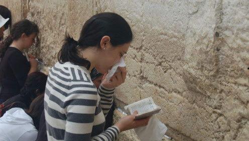 娱乐吃瓜君网红对比,娱乐吃瓜君与网红们的巅峰对决